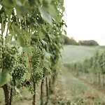 Perelli Winery בית חווה Bucine
