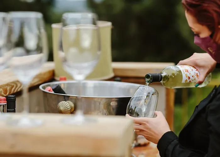 Gospodarstwo agroturystyczne Perelli Winery