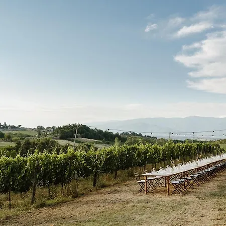 Farm stay Perelli Winery Bucine